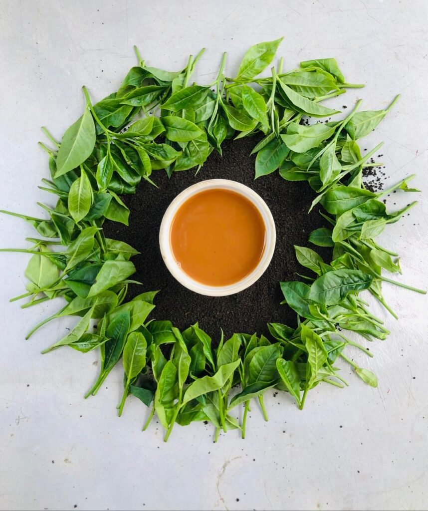Oolong Tea