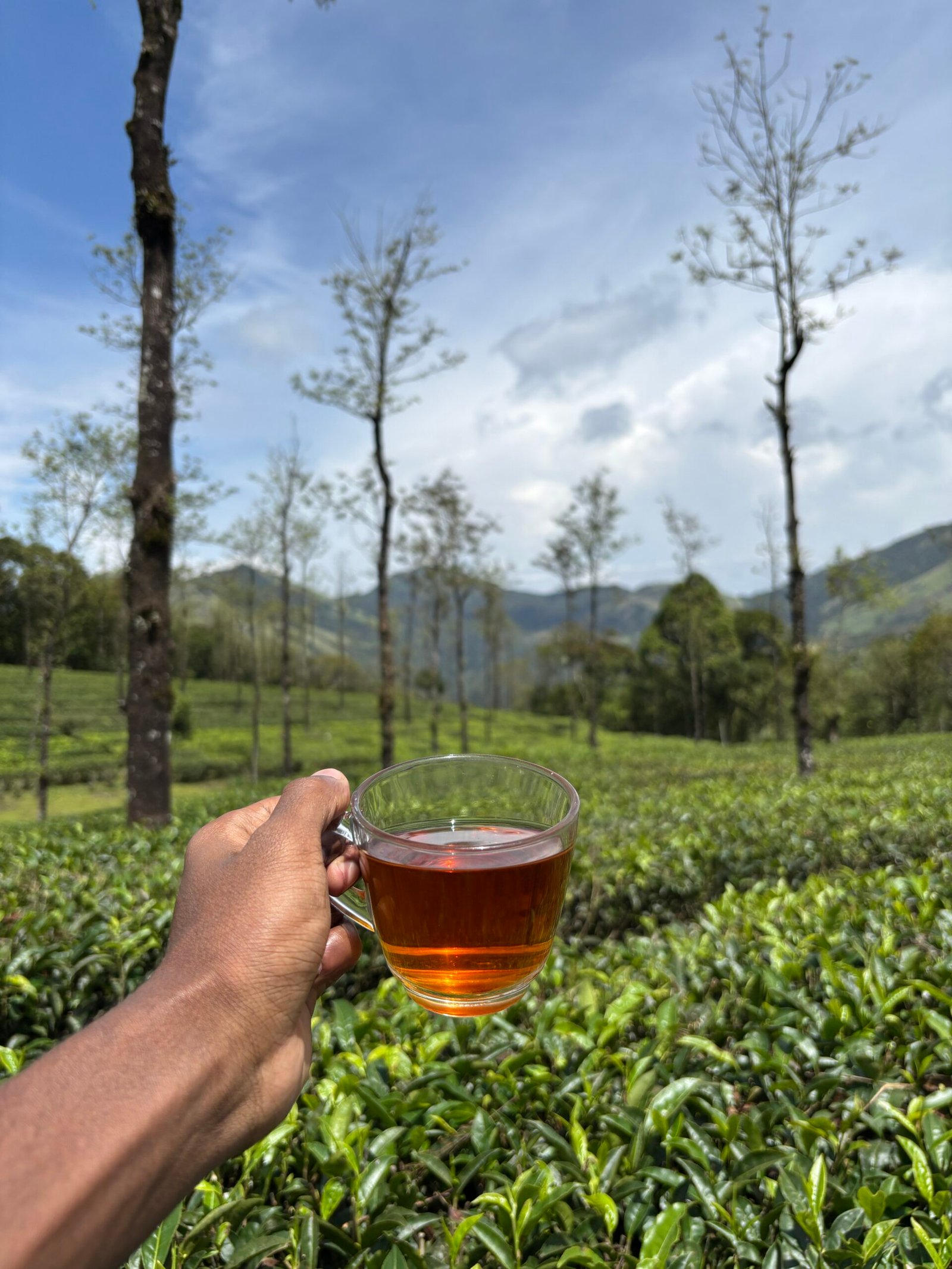 Orthodox Leaf Black Tea from Palar Tea - Image 5