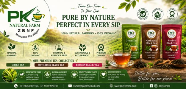 P K GREEN TEA